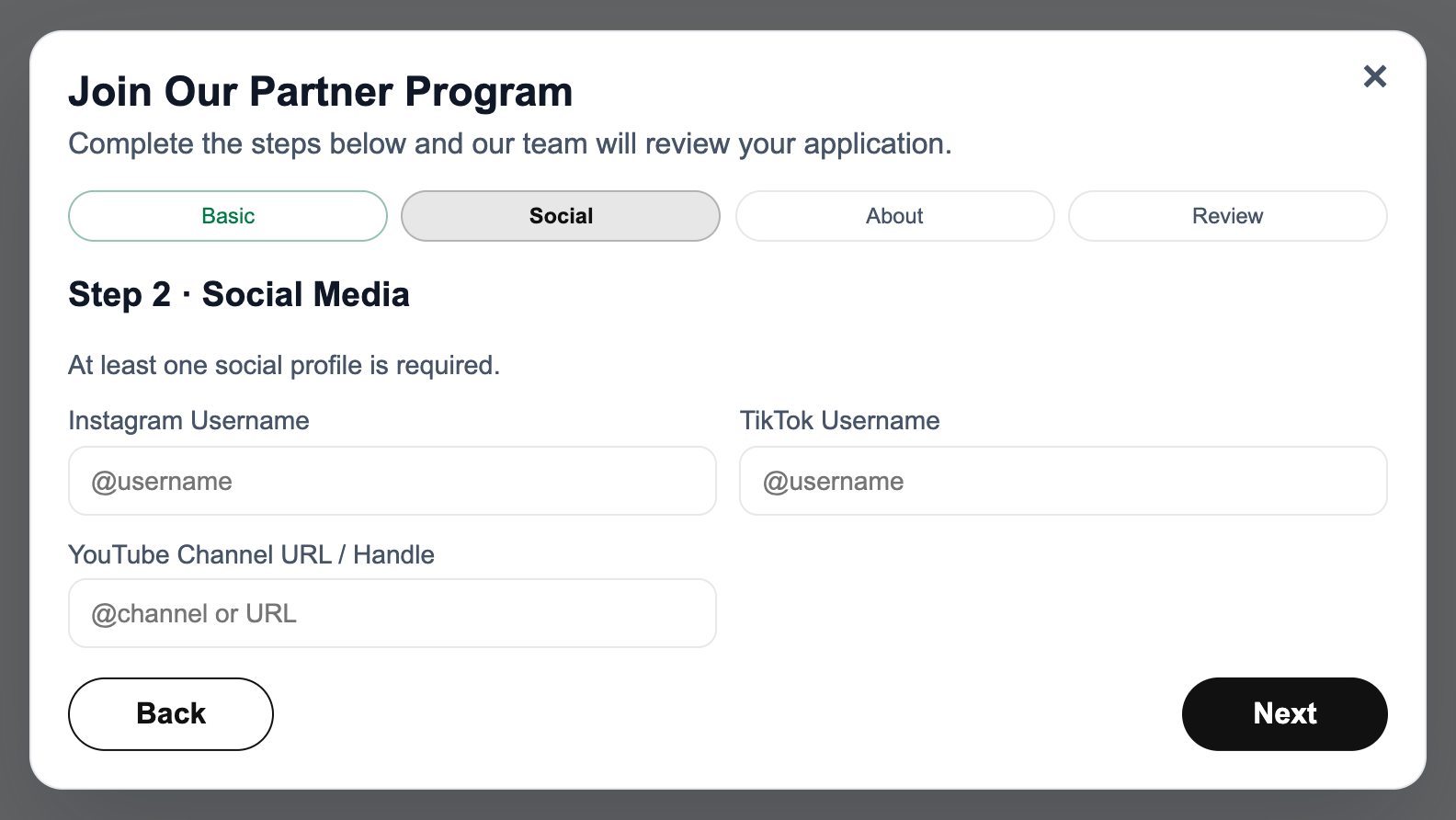 Partner application Social screen with Instagram, TikTok and YouTube fields, the at-least-one-profile instruction, and Back and Next buttons.